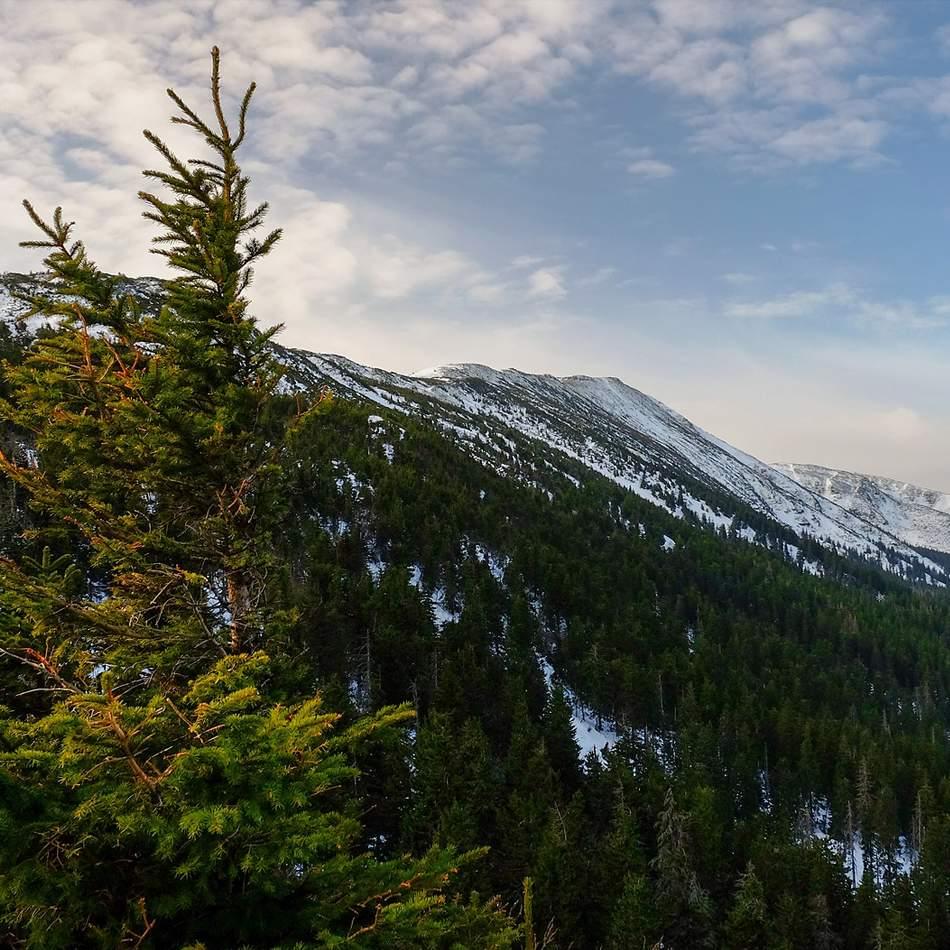 Polityka prywatności